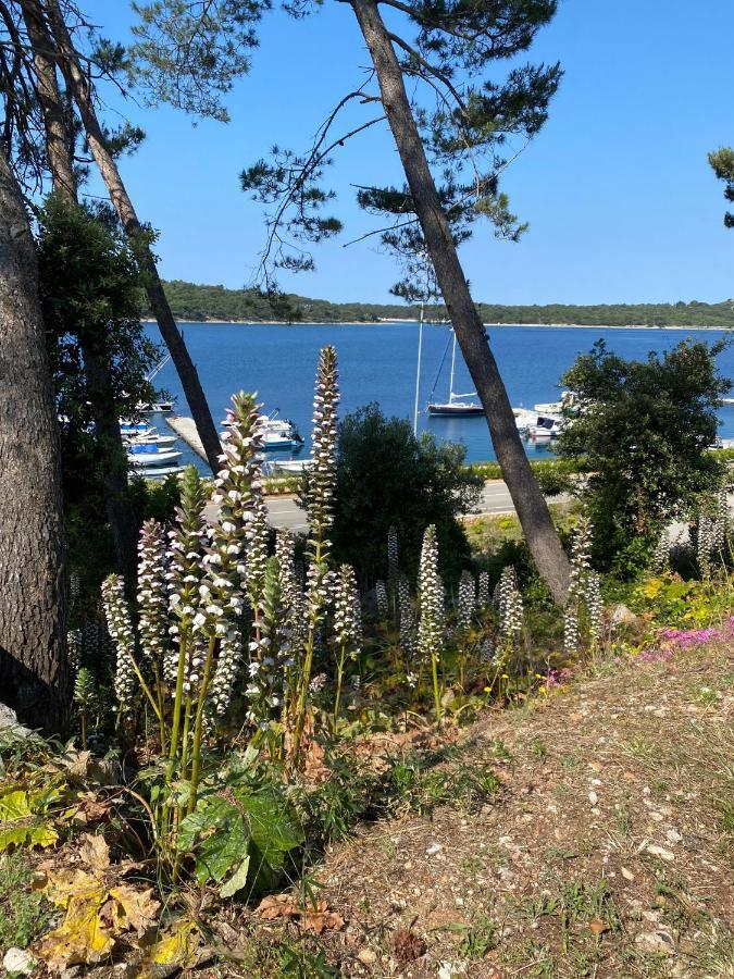 Apartments Tasha Mali Lošinj Eksteriør billede